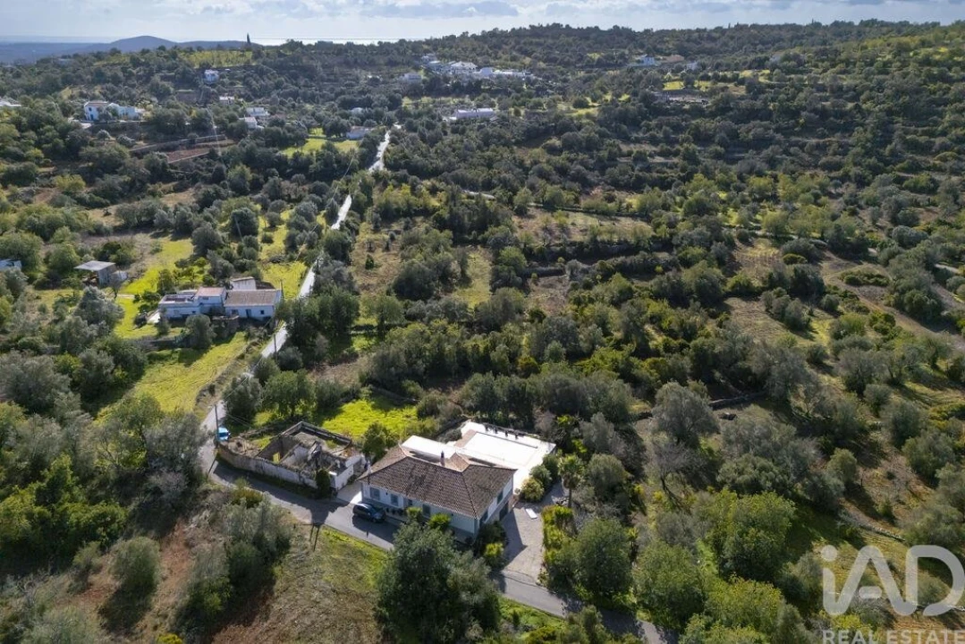 Terreno para Venda em Loule (São Sebastião) Foto 20