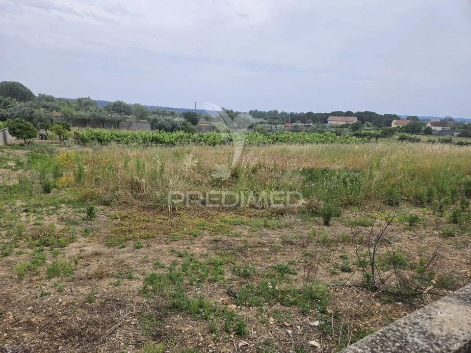 Terreno para Venda em São João Baptista e Santa Maria dos Olivais Foto 5