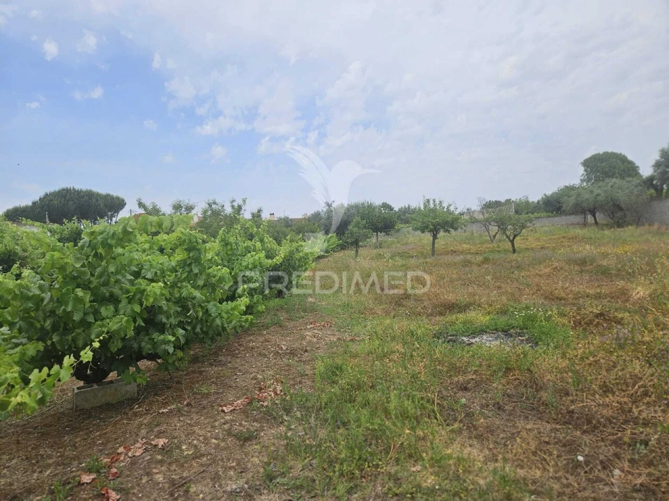 Terreno para Venda em São João Baptista e Santa Maria dos Olivais Foto 18