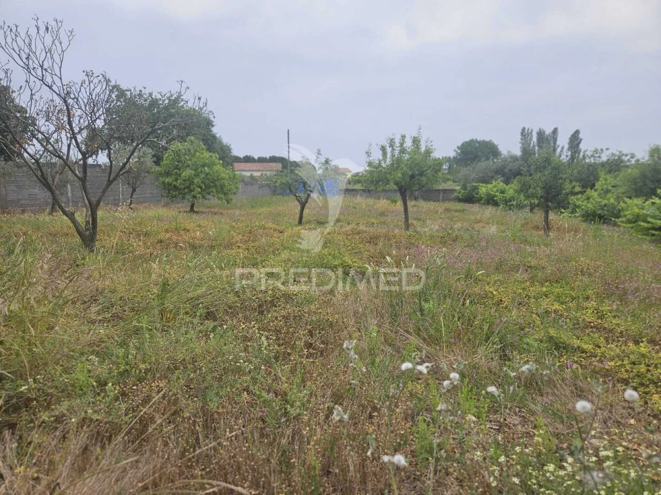 Terreno para Venda em São João Baptista e Santa Maria dos Olivais Foto 9