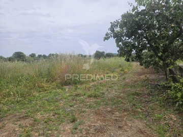 Terreno para Venda em São João Baptista e Santa Maria dos Olivais