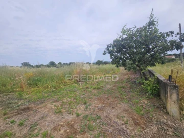 Terreno para Venda em São João Baptista e Santa Maria dos Olivais
