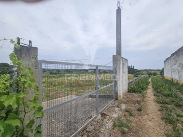 Terreno para Venda em São João Baptista e Santa Maria dos Olivais