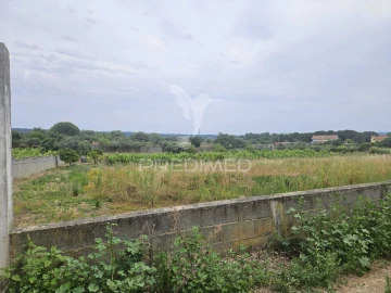 Terreno para Venda em São João Baptista e Santa Maria dos Olivais
