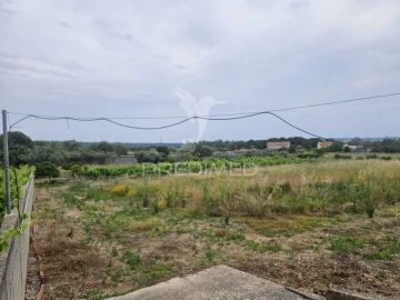 Terreno para Venda em São João Baptista e Santa Maria dos Olivais