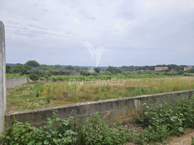 Terreno para Venda em São João Baptista e Santa Maria dos Olivais Foto 3