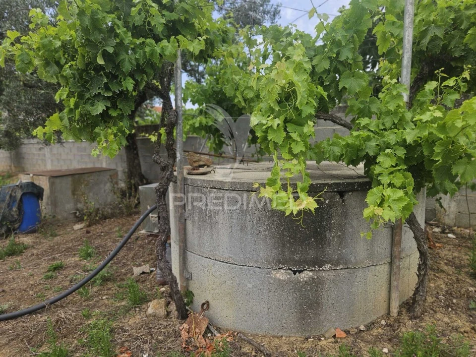 Terreno para Venda em São João Baptista e Santa Maria dos Olivais Foto 12