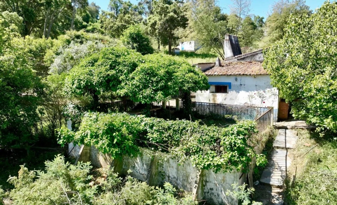 Quinta T6 para Venda em Gloria Foto 6