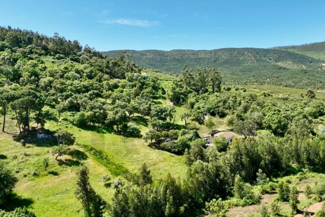 Quinta T6 para Venda em Gloria Foto 7
