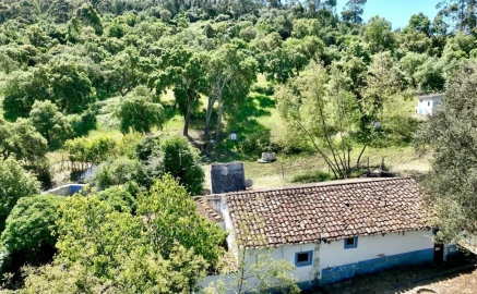 Quinta T6 para Venda em Gloria