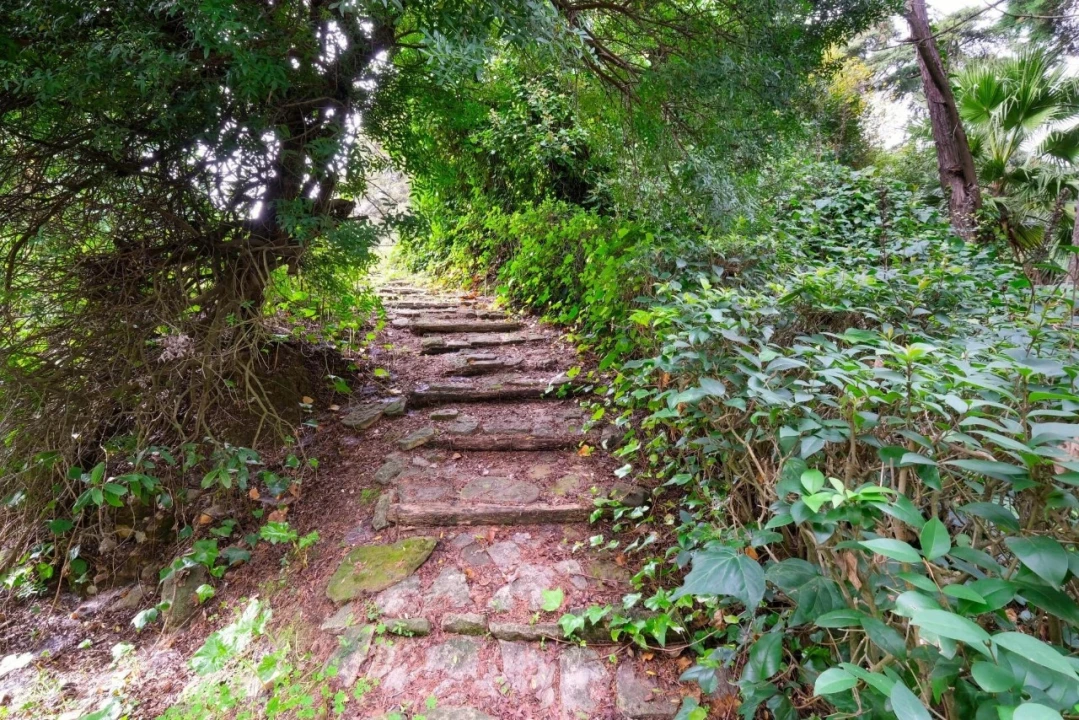 Quinta T14 para Venda em Vila Franca de Xira Foto 44