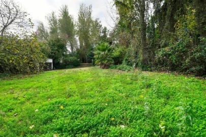 Quinta T14 para Venda em Vila Franca de Xira