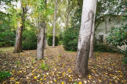 Quinta T14 para Venda em Vila Franca de Xira