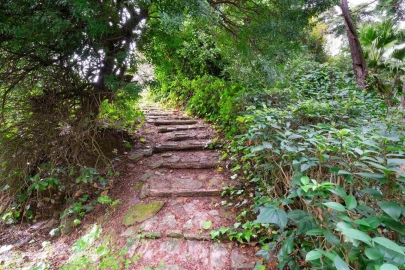 Quinta T14 para Venda em Vila Franca de Xira