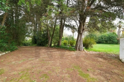Quinta T14 para Venda em Vila Franca de Xira