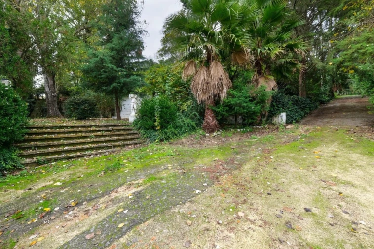 Quinta T14 para Venda em Vila Franca de Xira Foto 40