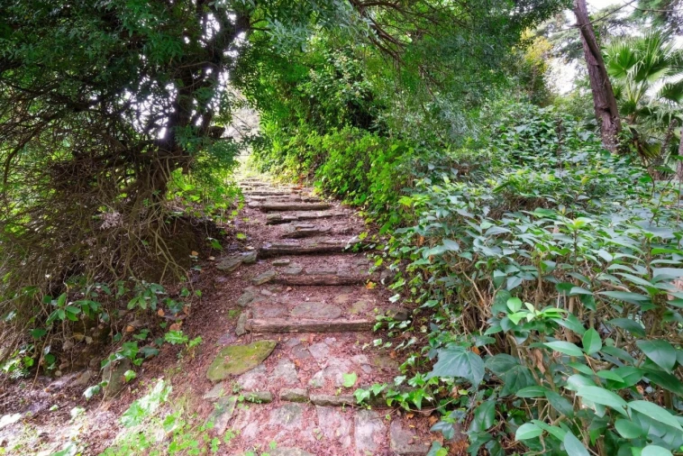 Quinta T14 para Venda em Vila Franca de Xira Foto 44