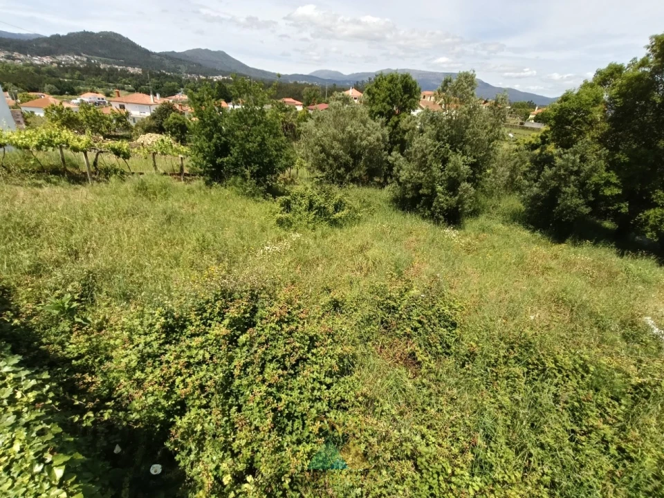 Terreno para Venda em Subportela, Deocriste e Portela Susã Foto 2