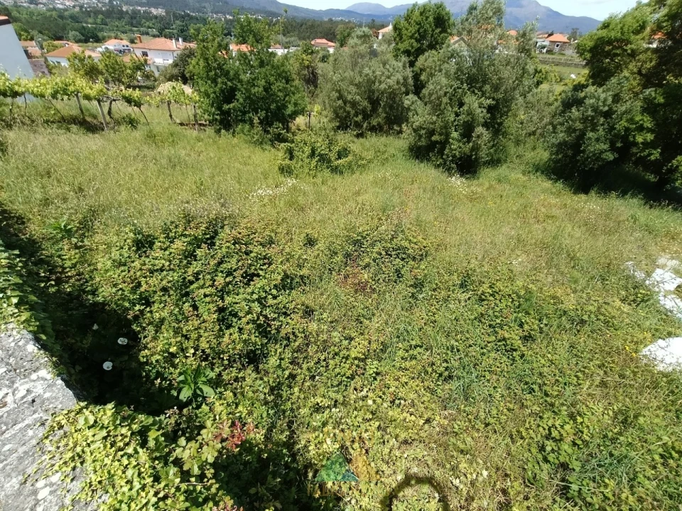 Terreno para Venda em Subportela, Deocriste e Portela Susã Foto 3