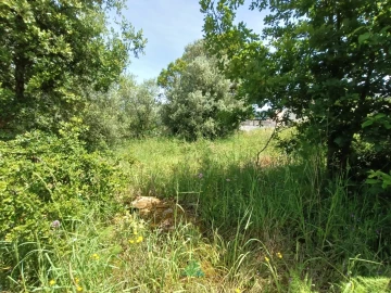 Terreno para Venda em Subportela, Deocriste e Portela Susã