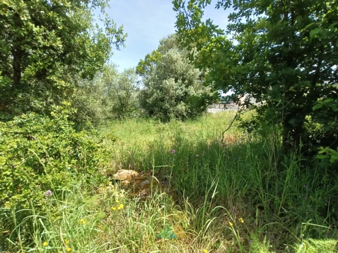 Terreno para Venda em Subportela, Deocriste e Portela Susã Foto 5