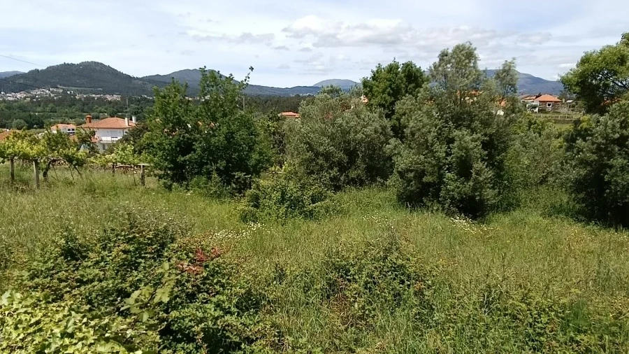 Terreno para Venda em Subportela, Deocriste e Portela Susã