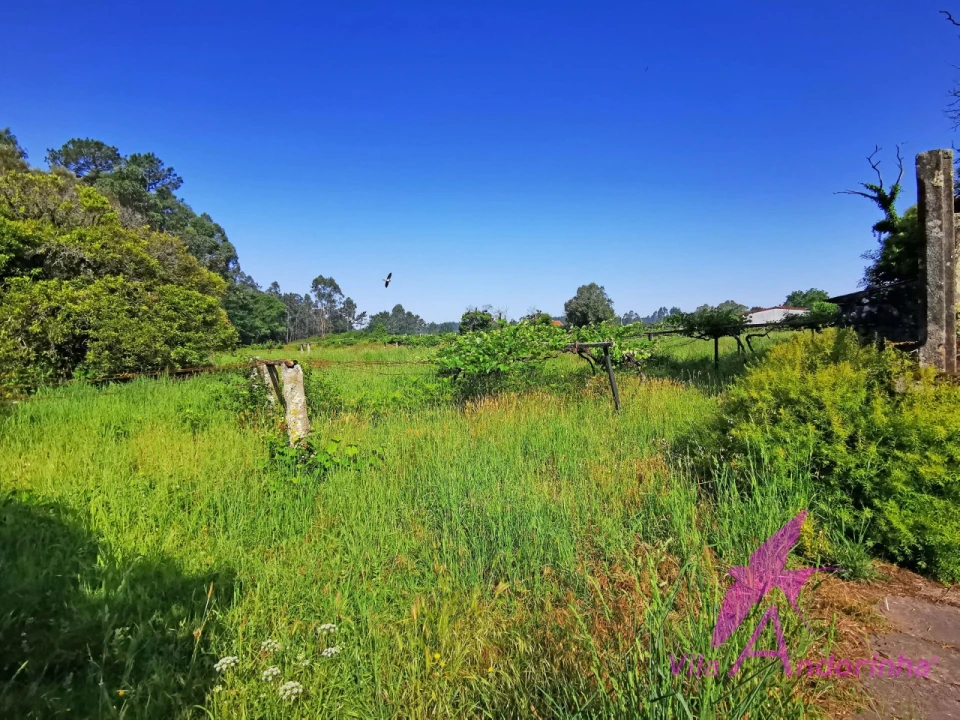 Terreno para Venda em Alvarães Foto 2