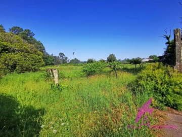 Terreno para Venda em Alvarães