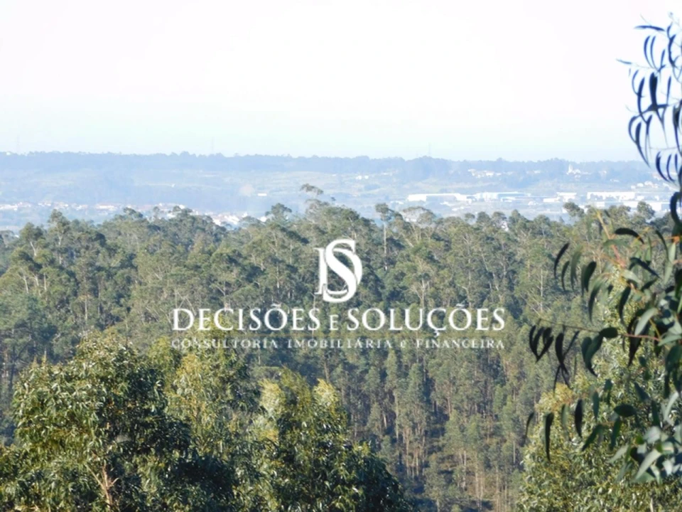 Terreno para Venda em Luso Foto 3