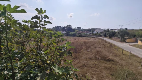 Moradia T2 para Venda em Arcos e Mogofores