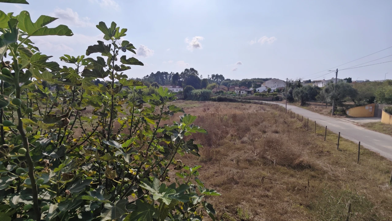 Moradia T2 para Venda em Arcos e Mogofores Foto 22