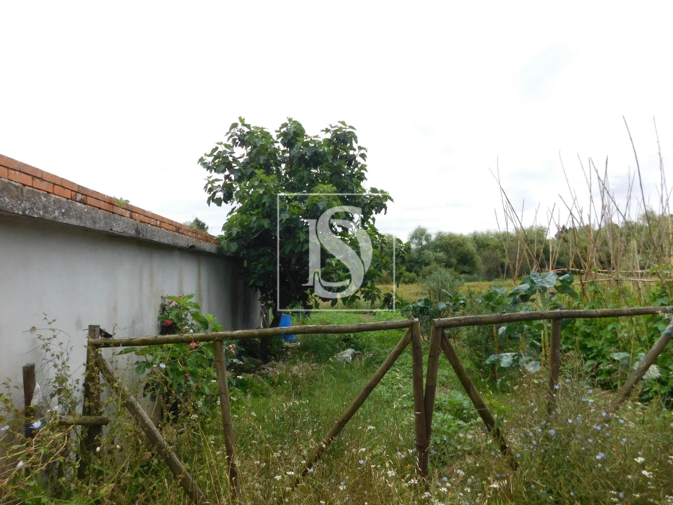 Moradia T2 para Venda em Arcos e Mogofores Foto 4