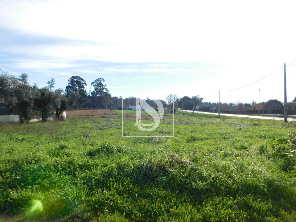 Terreno para Venda em Arcos e Mogofores Foto 9