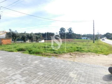 Terreno para Venda em Arcos e Mogofores