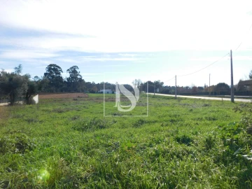 Terreno para Venda em Arcos e Mogofores