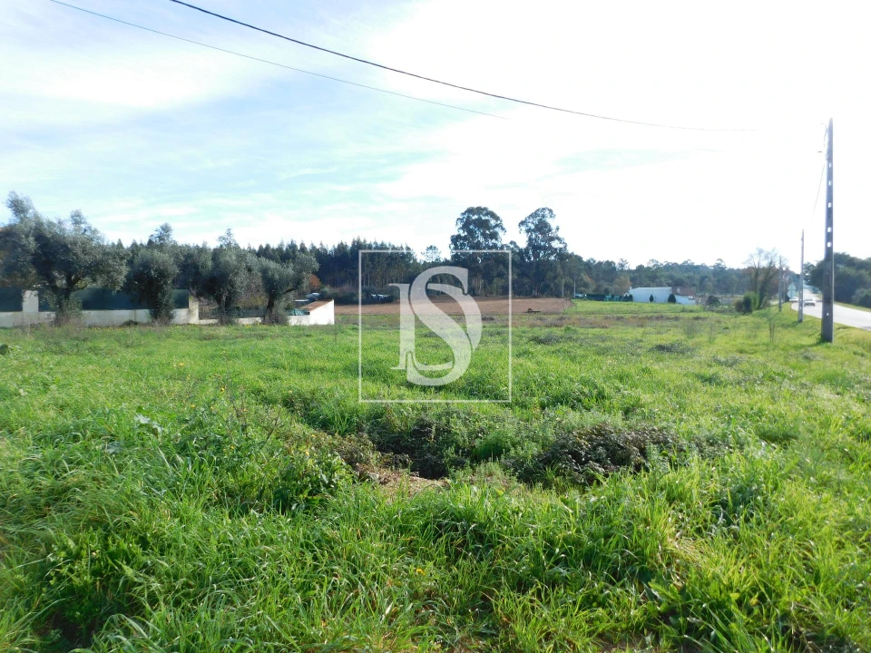 Terreno para Venda em Arcos e Mogofores Foto 2