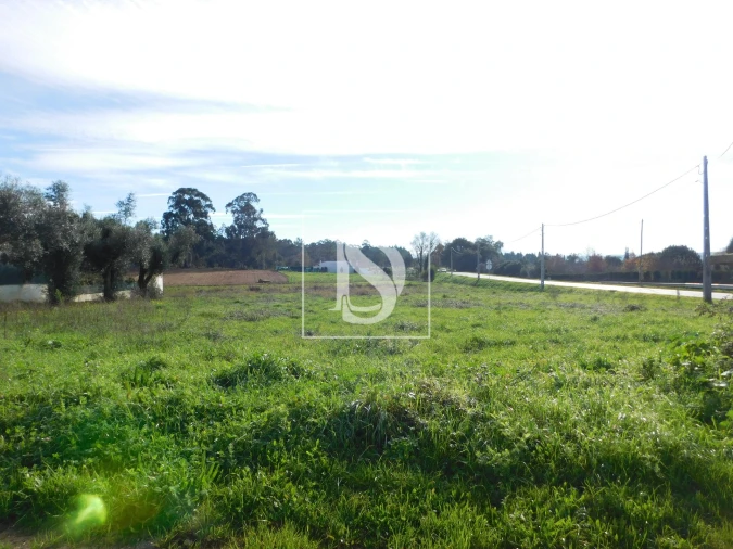 Terreno para Venda em Arcos e Mogofores Foto 9