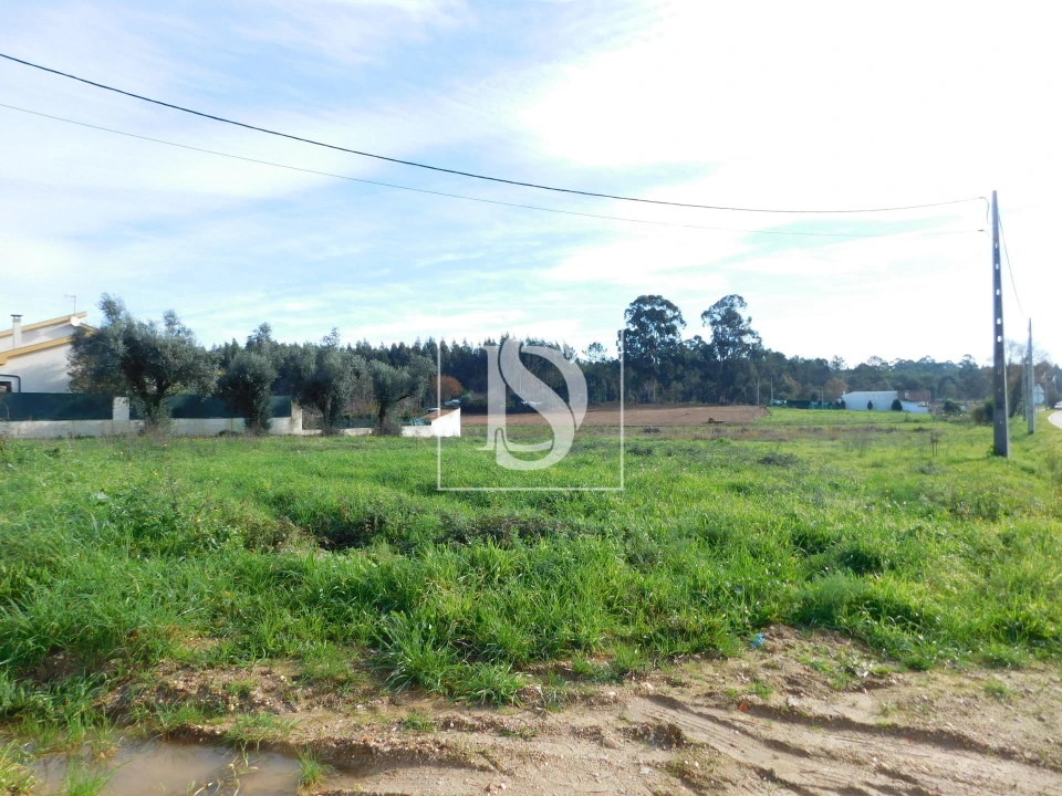 Terreno para Venda em Arcos e Mogofores Foto 4