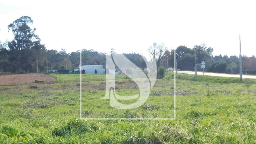Terreno para Venda em Arcos e Mogofores