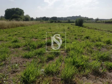 Terreno para Venda em Oiã