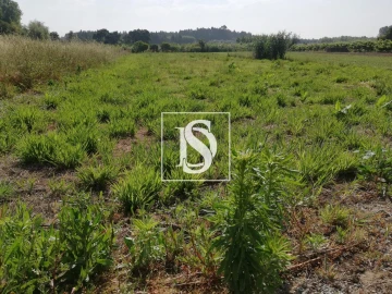 Terreno para Venda em Oiã