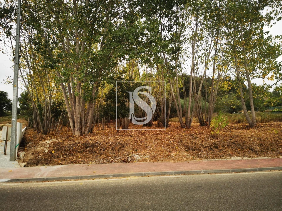 Terreno para Venda em Tamengos, Aguim e Óis do Bairro Foto 3