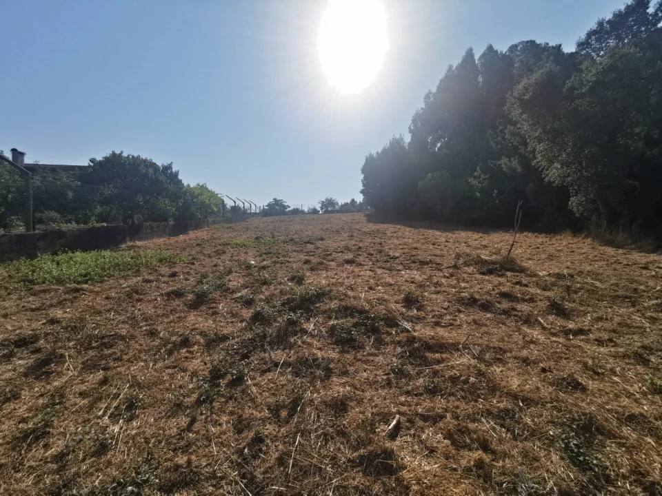 Terreno para Venda em Arcos e Mogofores Foto 11