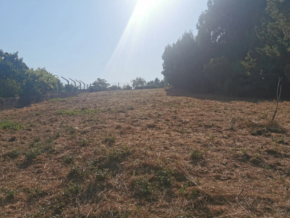 Terreno para Venda em Arcos e Mogofores Foto 8