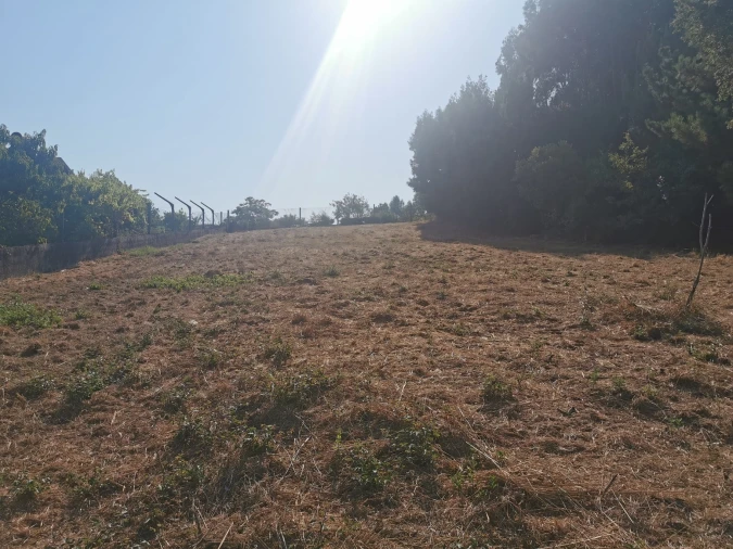 Terreno para Venda em Arcos e Mogofores Foto 8