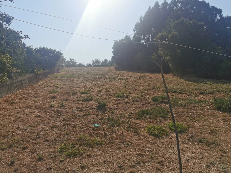 Terreno para Venda em Arcos e Mogofores Foto 13