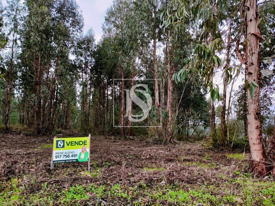 Terreno para Venda em Bustos, Troviscal e Mamarrosa Foto 4