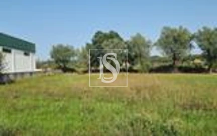 Terreno para Venda em Arcos e Mogofores