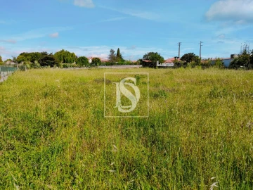 Terreno para Venda em Oiã