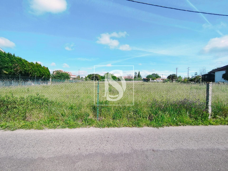 Terreno para Venda em Oiã Foto 2